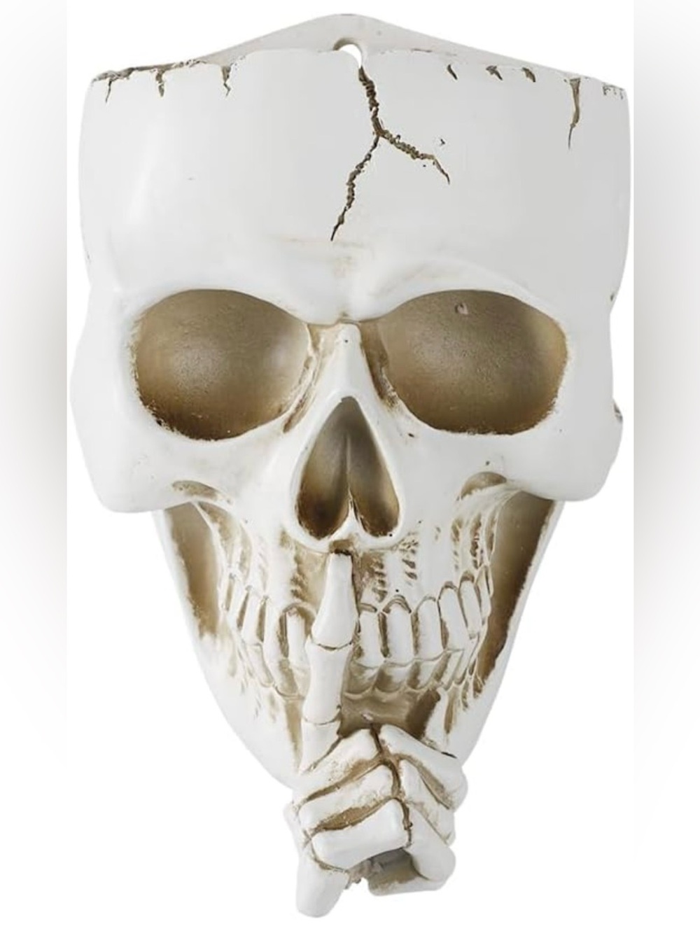 👻NEW - “DON’T SPEAK” Spooky Skull Wall Flowerpot - 7.87×5.12 inches
